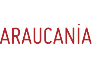 Estación Araucanía - Arte y Espectáculos